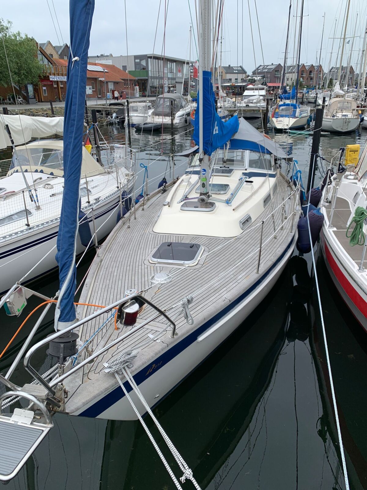 IMG 0971