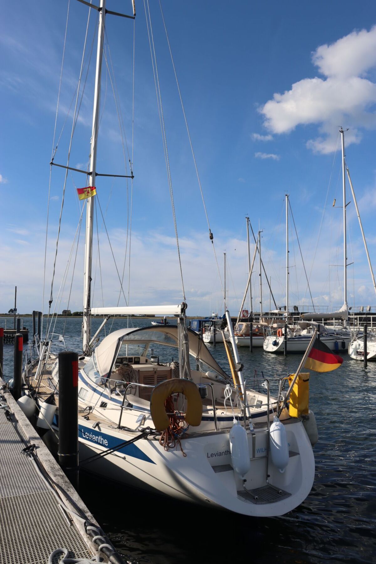 Segelyacht Hallberg-Rassy 34 Sailing World Yachtbrokers Heiligenhafen 5