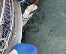 Segelyacht  Shearwater 39 Sailing World Yachtmakler Heiligenhafen 55