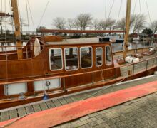 Motorsegler Bueltjer  (7)