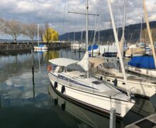 Segelyacht Dehler 35 CWS Sailing World Yachtmakler Heiligenhafen 2