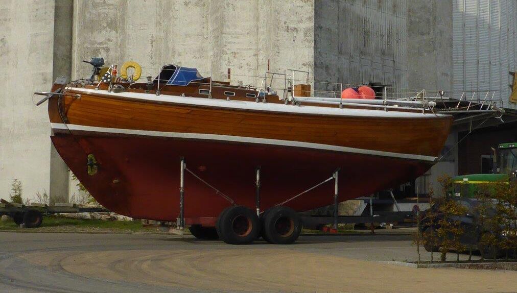 Laurin Koster 41