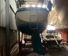 IMG 1772 n