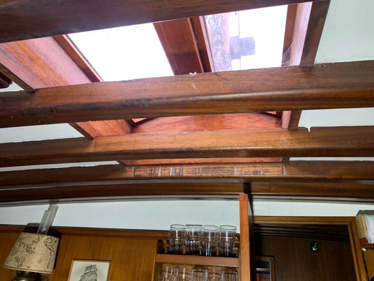 Motorsegler Bueltjer  (60)