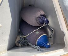 Segelyacht Hallberg-Rassy 34 Sailing World Yachtbrokers 73