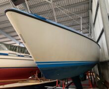 IMG 1770 n