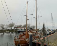 Motorsegler Bueltjer  (9)