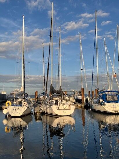 Sailing Yacht Salona 34 Sailing World Yachtbrokers 03