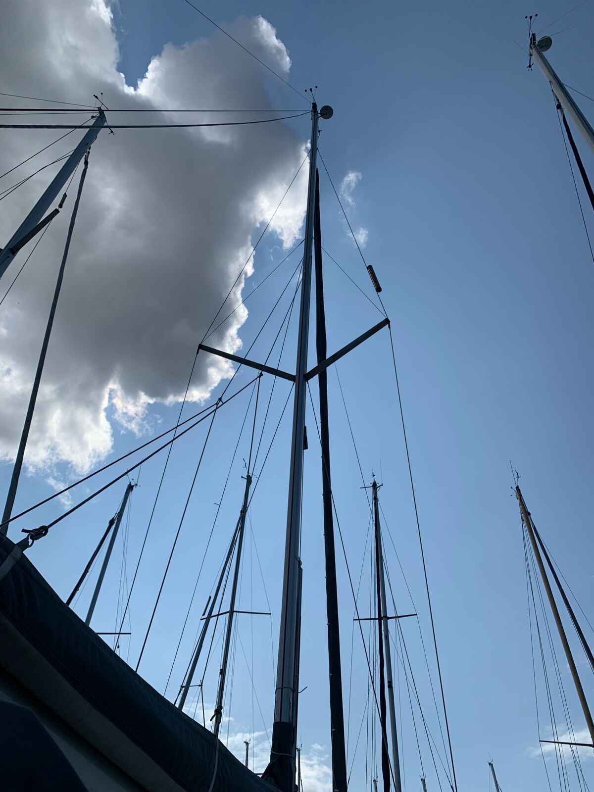 Segelyacht Bavaria 31 Cruiser Limited Edition Saling World Yachtmakler Heiligenhafen 49