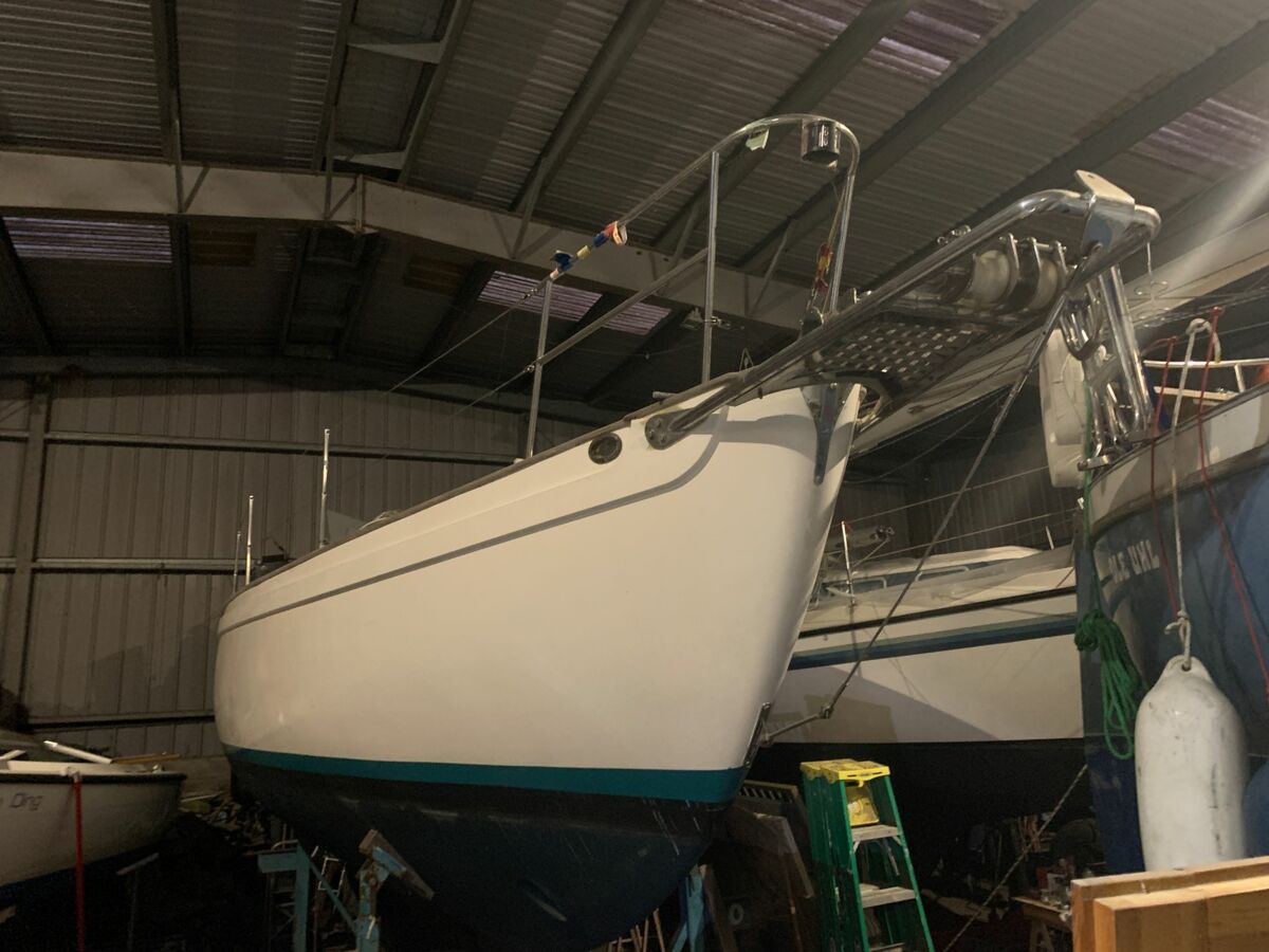 Tradewind 33