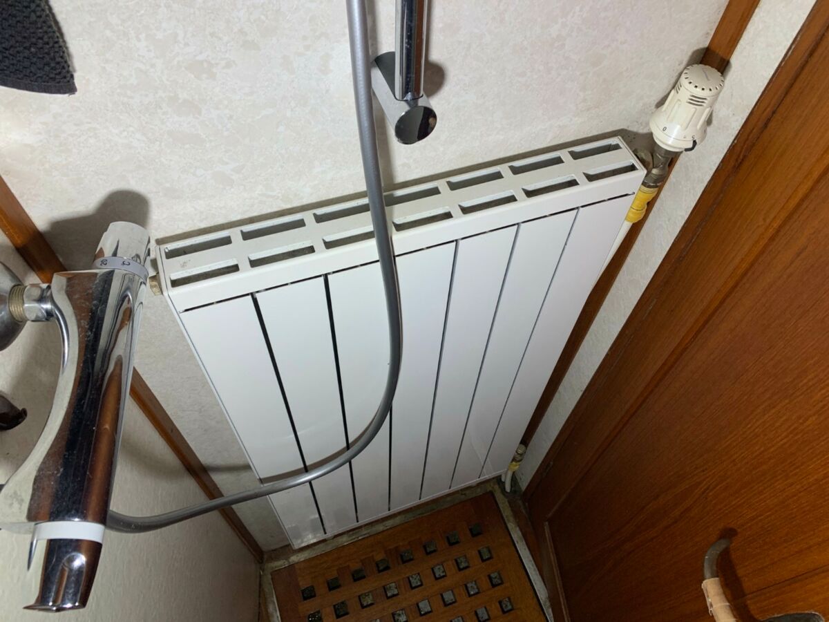 Motorsegler Bueltjer  (101)