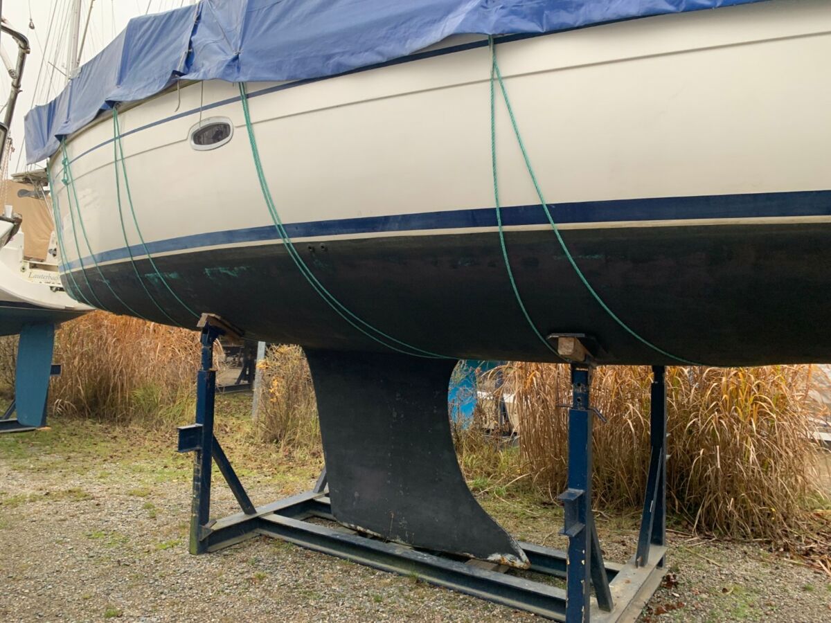 Segelyacht Bavaria 38 Cruiser (1)