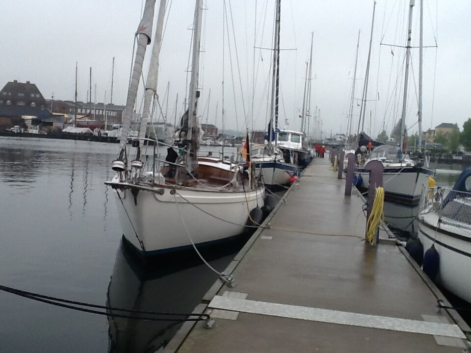 Tradewind 33