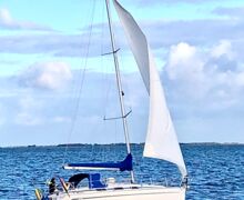 Segelyacht Bavaria 34 Sailing World Yachtmakler Heiligenhafen 67