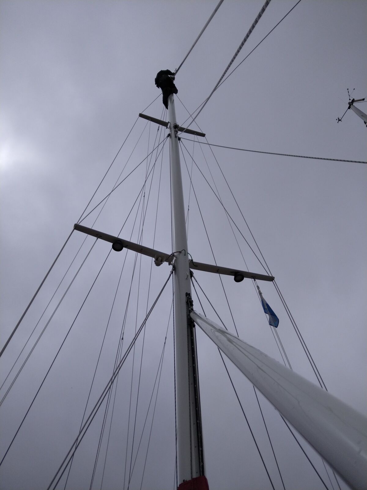 Segelyacht Reinke 12 M Sailing World Yachtmakler Heiligenhafen 19