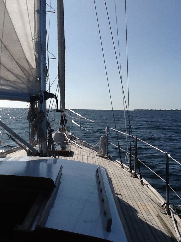 Tradewind 33