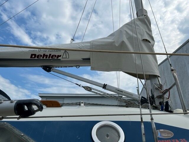 Dehlya 25