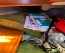 Segelyacht Beason 31 Sailing World Yachtmakler Heiligenhafen 27