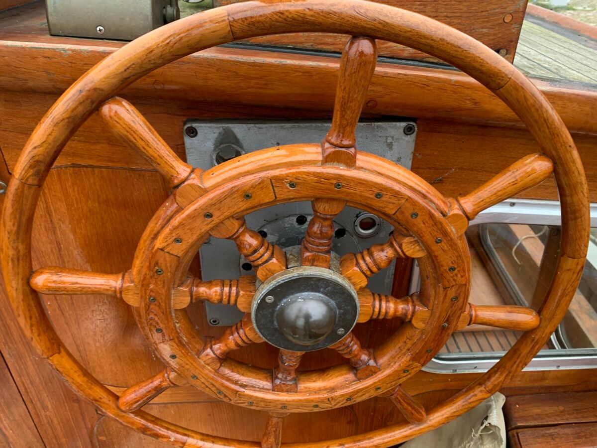 Motorsegler Bueltjer  (29)