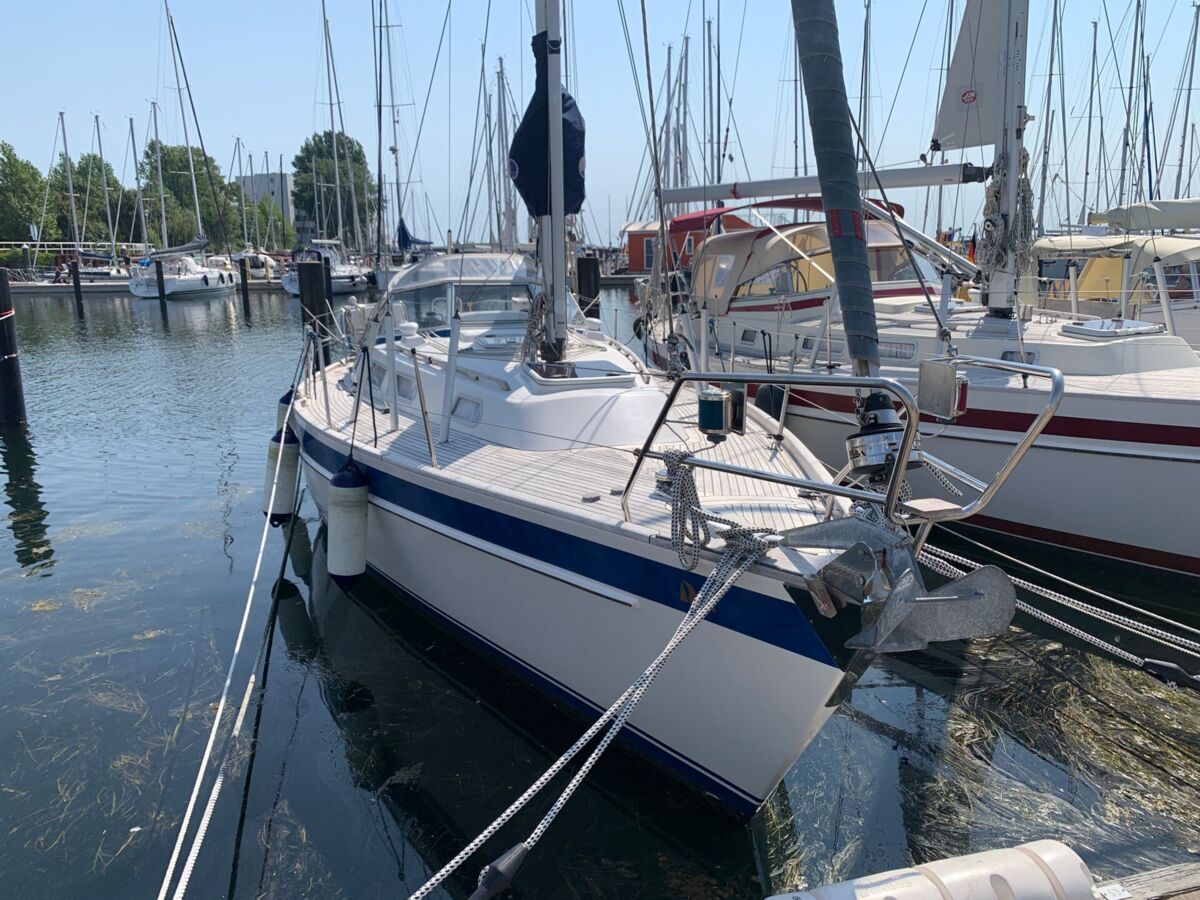Sailing Yacht Hallberg-Rassy 34 Sailing World Yachtmakler Heiligenhafen 3
