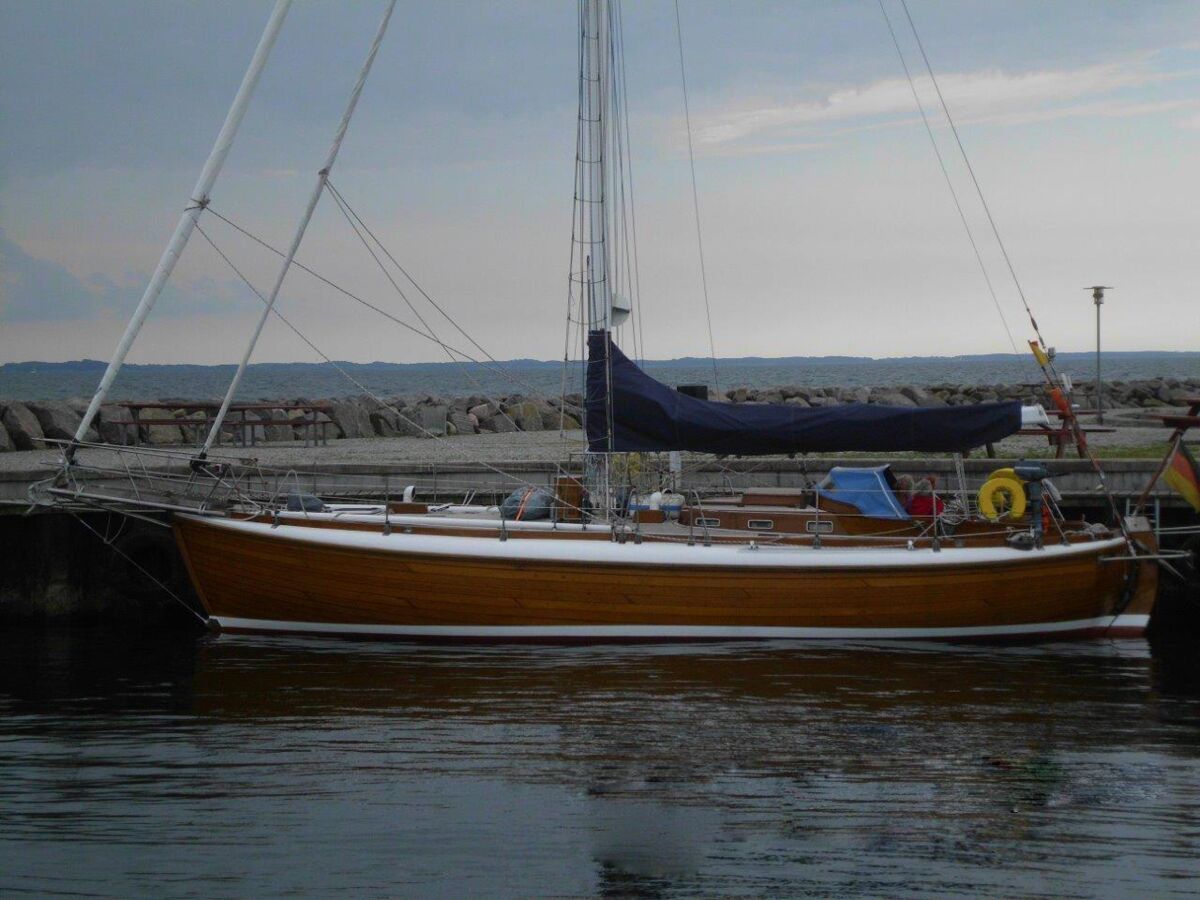 Laurin Koster 41