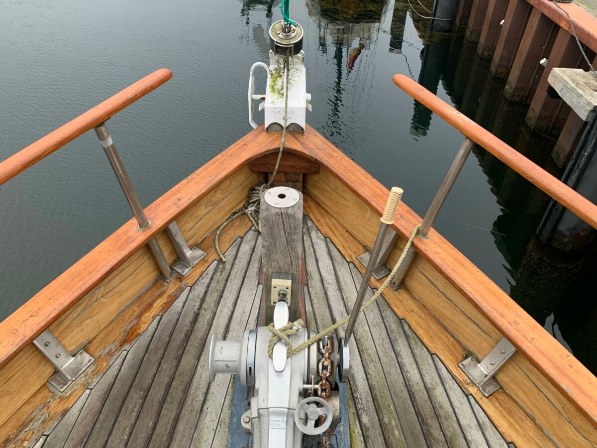 Motorsegler Bueltjer  (17)