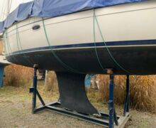 Segelyacht Bavaria 38 Cruiser (1)