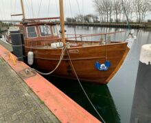 Motorsegler Bueltjer  (3)