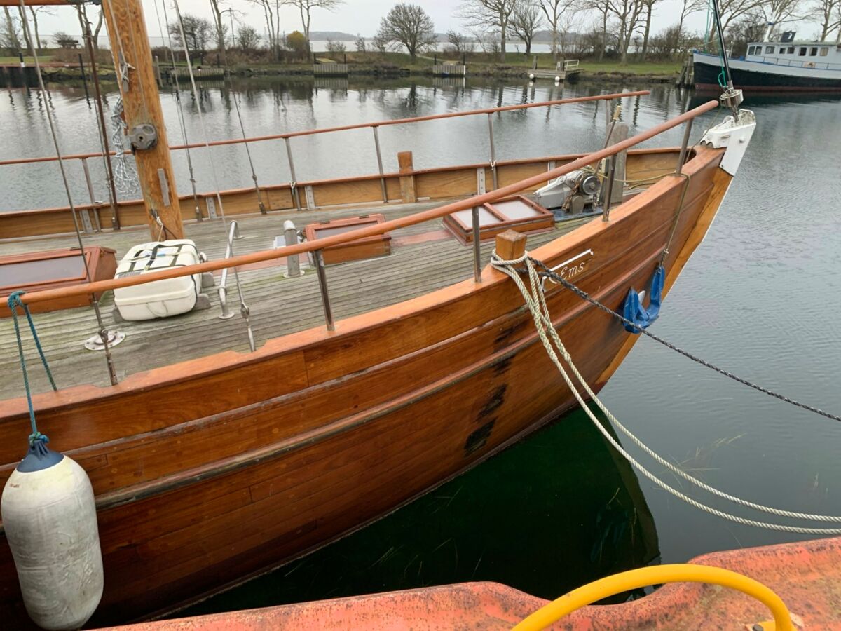 Motorsegler Bueltjer  (4)