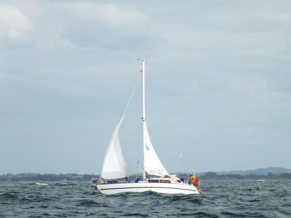 Segelyacht Hai 760 Decksalon Sailing World Yachtmakler 3