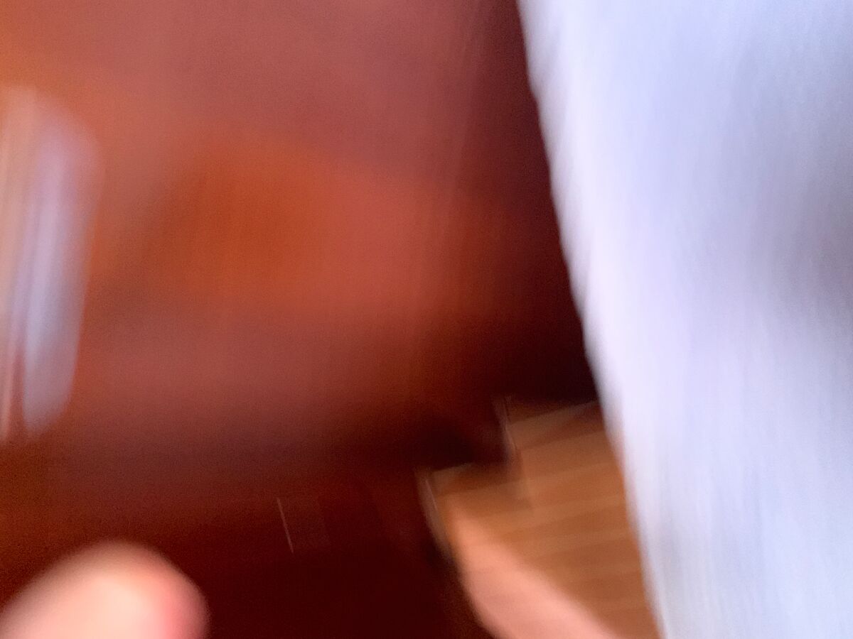 IMG 1786
