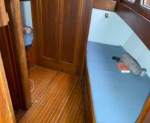 Motorsegler Bueltjer  (93)