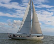 WYVERN II