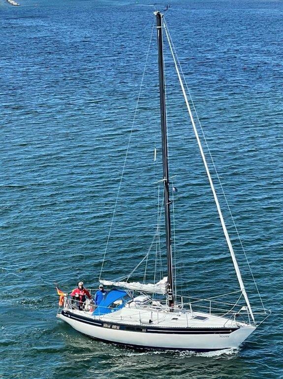 Königskreuzer 33 Sailing World Yachtbrokers 15