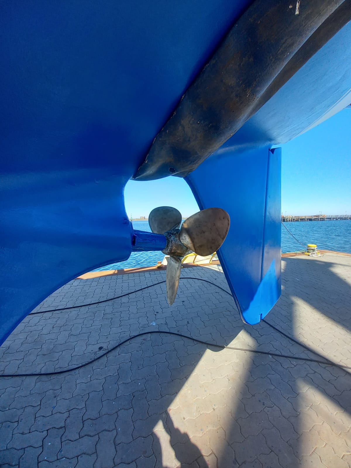 Segelyacht Najad 34 AK Sailing World Yachtmakler Heiligenhafen 71