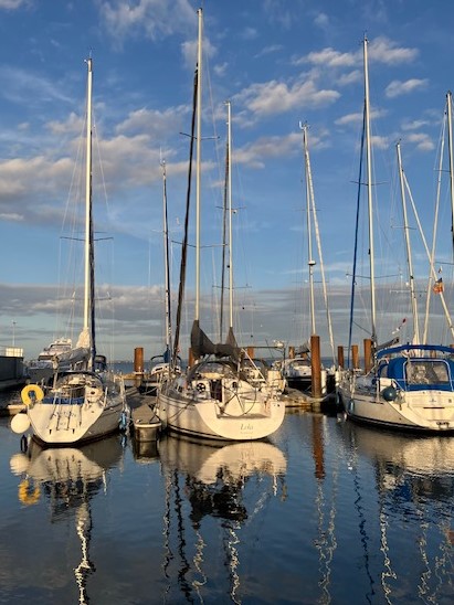 Sailing Yacht Salona 34 Sailing World Yachtbrokers 03